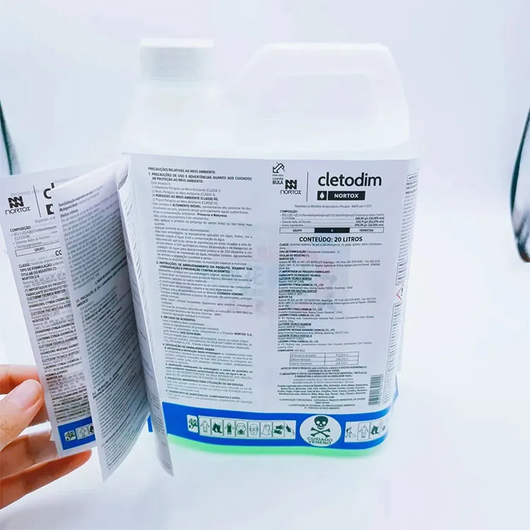 ¿Está atrayendo la atención la etiqueta plegable multicapa por soluciones de embalaje innovadoras?