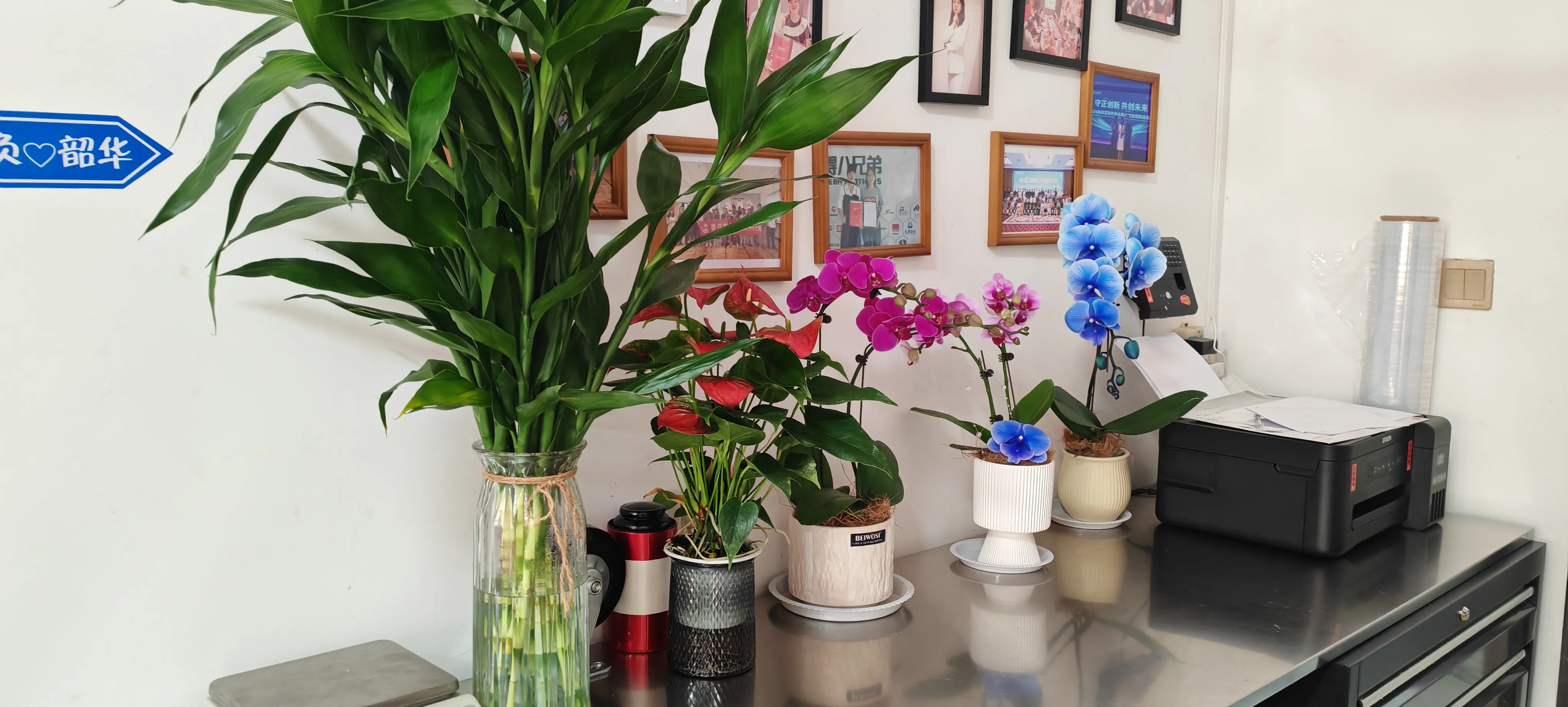 ¡Bienvenidos los nuevos amigos de JOJO Pack!