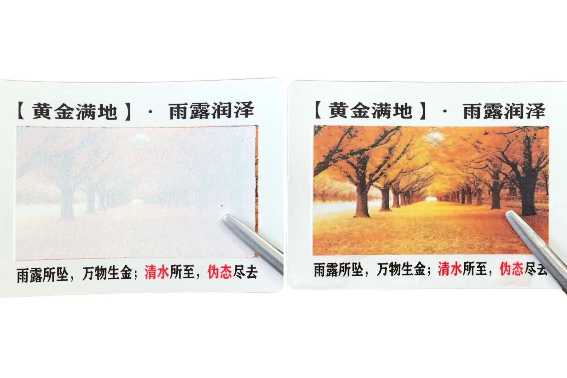 ¿Conoce las etiquetas sensibles al agua que cambian de color?